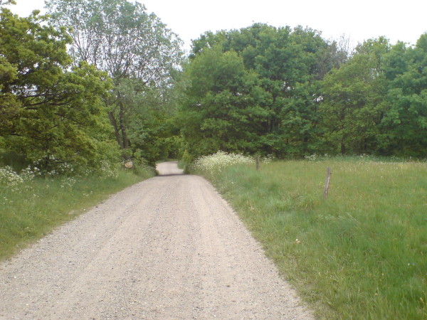 Bild: Schotterweg vor Abzweig nach Givskud Amelia Fahrrad