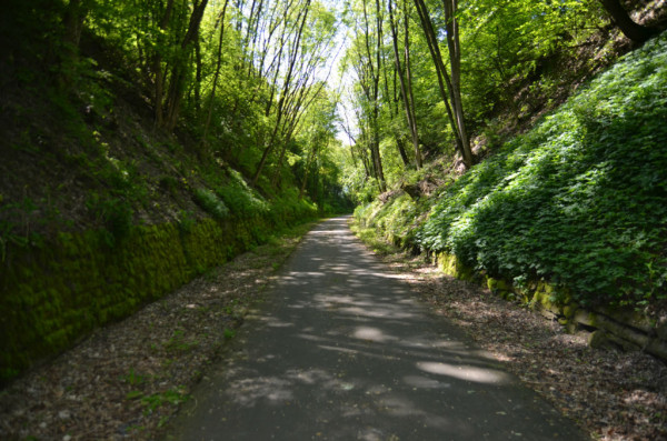 Bild: Bahntrasse Fahrrad Münsterland Amelix 